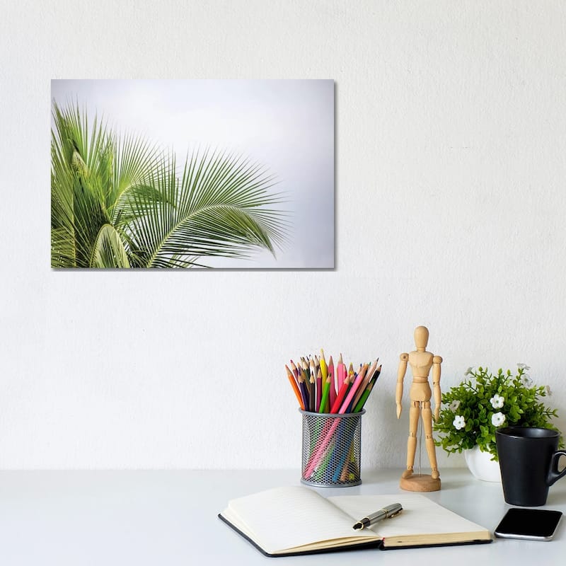 iCanvas "Palm Tree" by Mark Paulda Canvas Print - 8x12x0.75