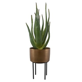 Uttermost Arabia Aloe Planter - 19.7"W x 37"H x 19.7"D