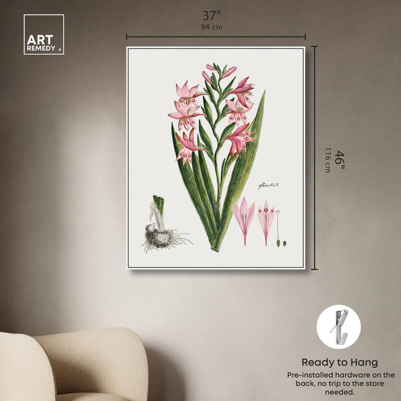 Gladiolus Carneus Canvas by Art Remedy