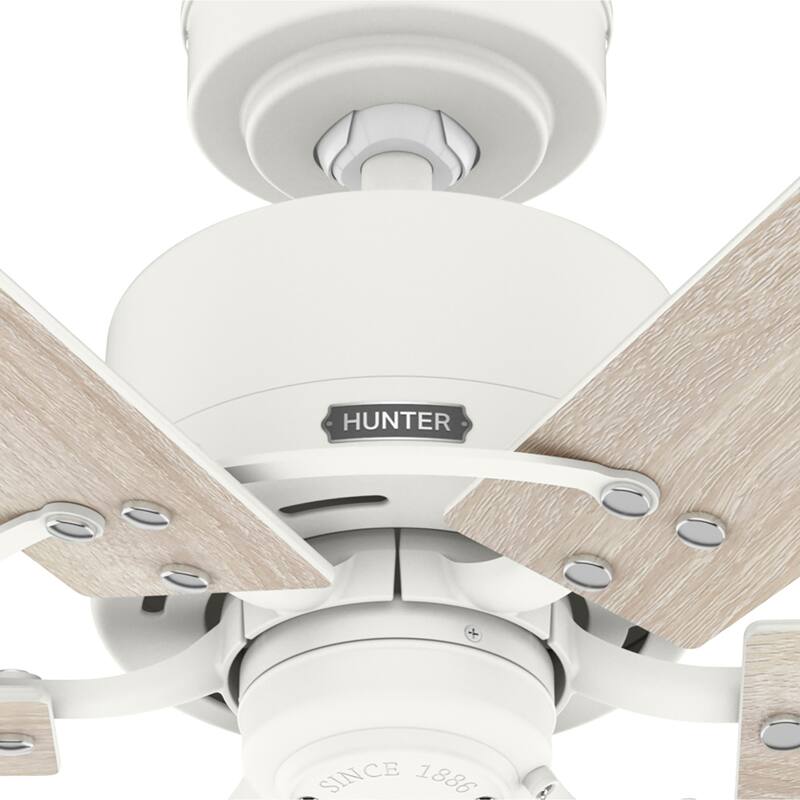 Hunter 52" Gilrock Windmill Ceiling Fan and Pull Chain - Industrial, Modern Farmhouse