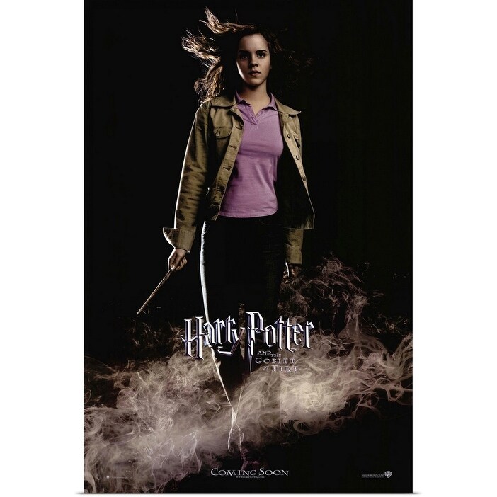Shop Harry Potter And The Goblet Of Fire 2005 Poster Print Overstock 24132383