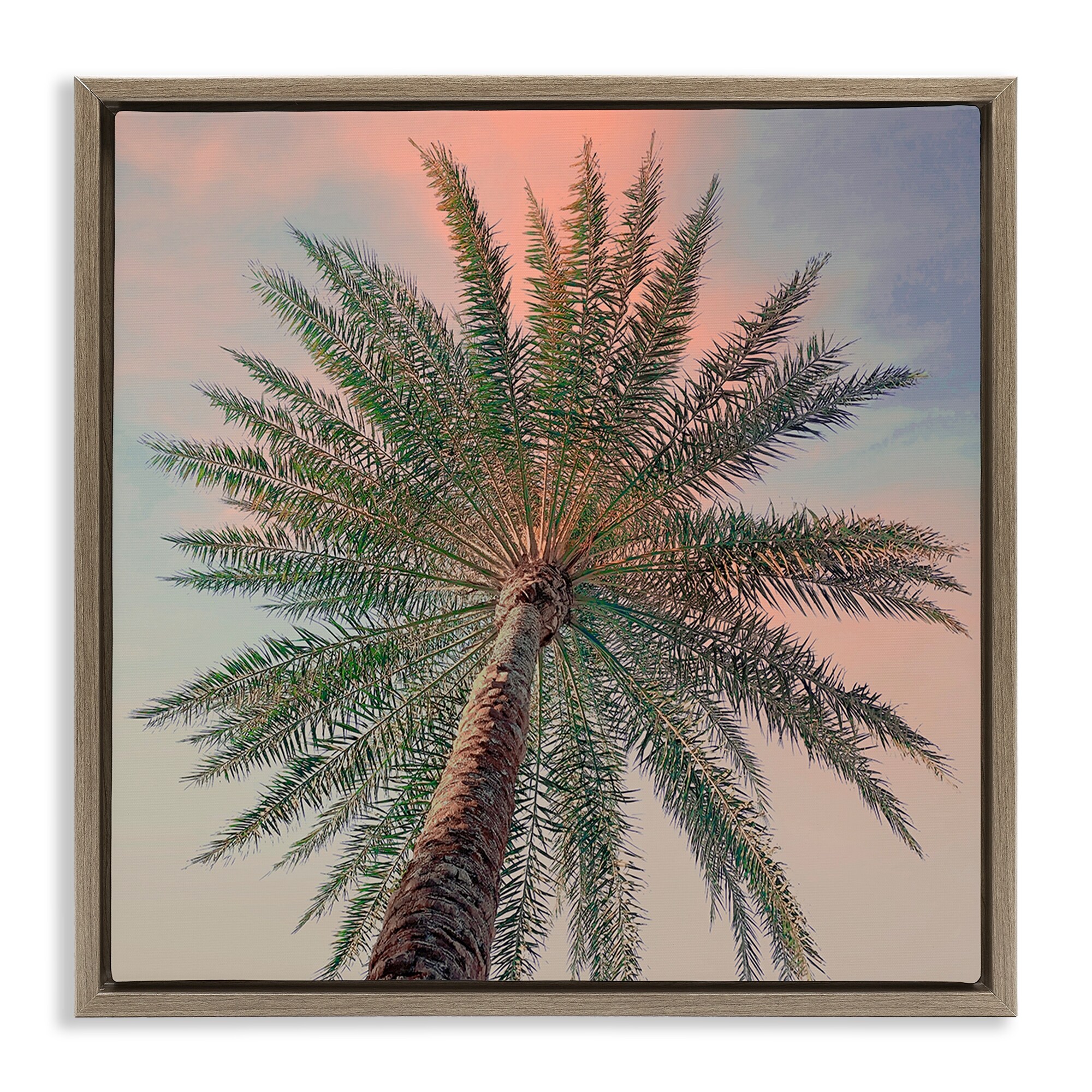 Stupell Palm Up Against Sunset Framed Floater Canvas Wall Art Design By Susan Jill