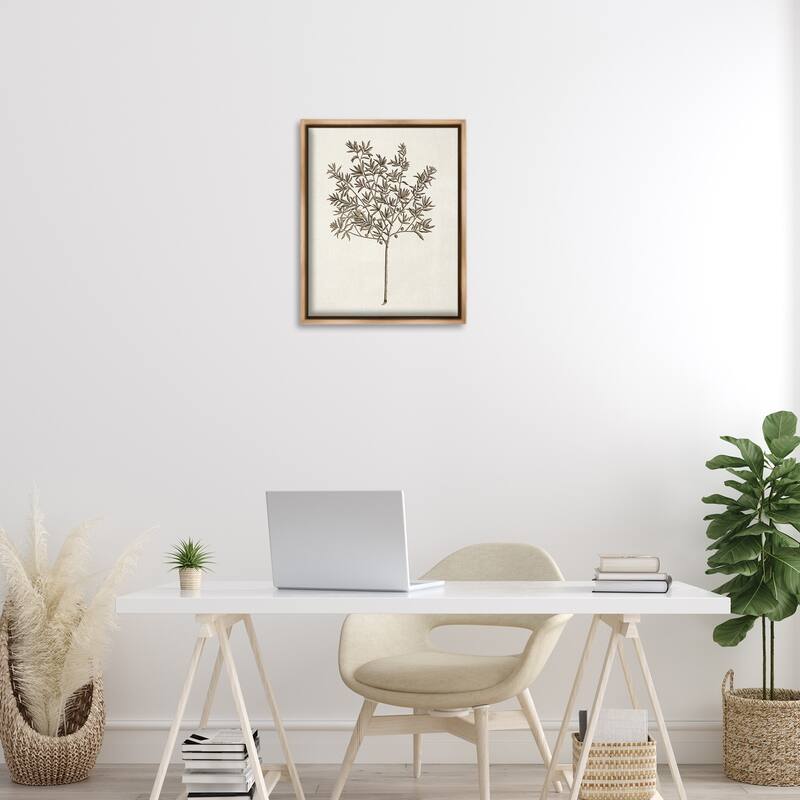 Stupell Vintage Study of Olive Tree Framed Floater Canvas Wall Art Design By Phillipa Katz