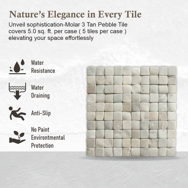 12 in. x 12 in. Tan, Brown and Cherry Honed Sliced Pebble Floor and Wall Tile (5.0 sq. ft. / case) 12 in. x 12 in. Tan, Brown and Cherry Honed Sliced Pebble Floor and Wall Tile (5.0 sq. ft. / case)
