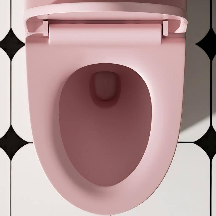 Only Toilet Seat Cover,Soft-Closing Seat,Easy and Quick Installation