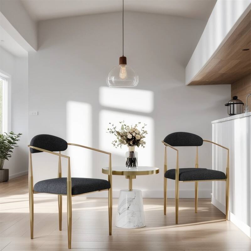 Modern Dining Chairs with Round Backrest and Metal Legs(Set of 2) - Black