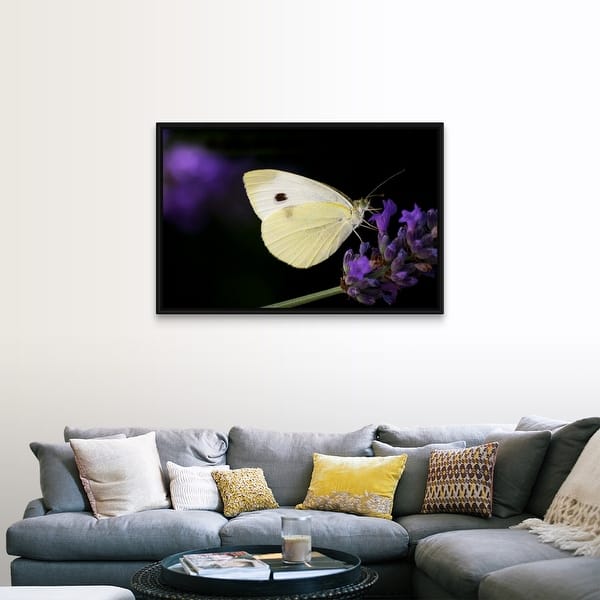 Shop White Butterfly On Purple Lavender Flower Black Float