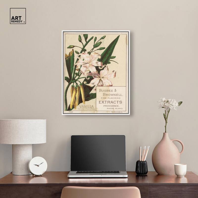 Vanilla Planifolia Canvas by Art Remedy