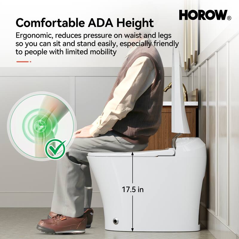 HOROW One Piece Dual Flush Elongated Toilet 1.27 GPF White Seat Included