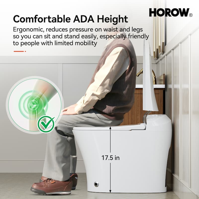 HOROW One Piece Dual Flush Elongated Toilet 1.27 GPF White Seat Included