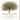 Cindy Jacobs 'Lessons From a Tree' Canvas Art