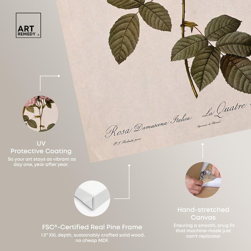 Damask Rose Canvas by Art Remedy, Gallery Wrapped