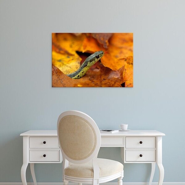 Easy Art Prints Jaynes Gallery's 'Close