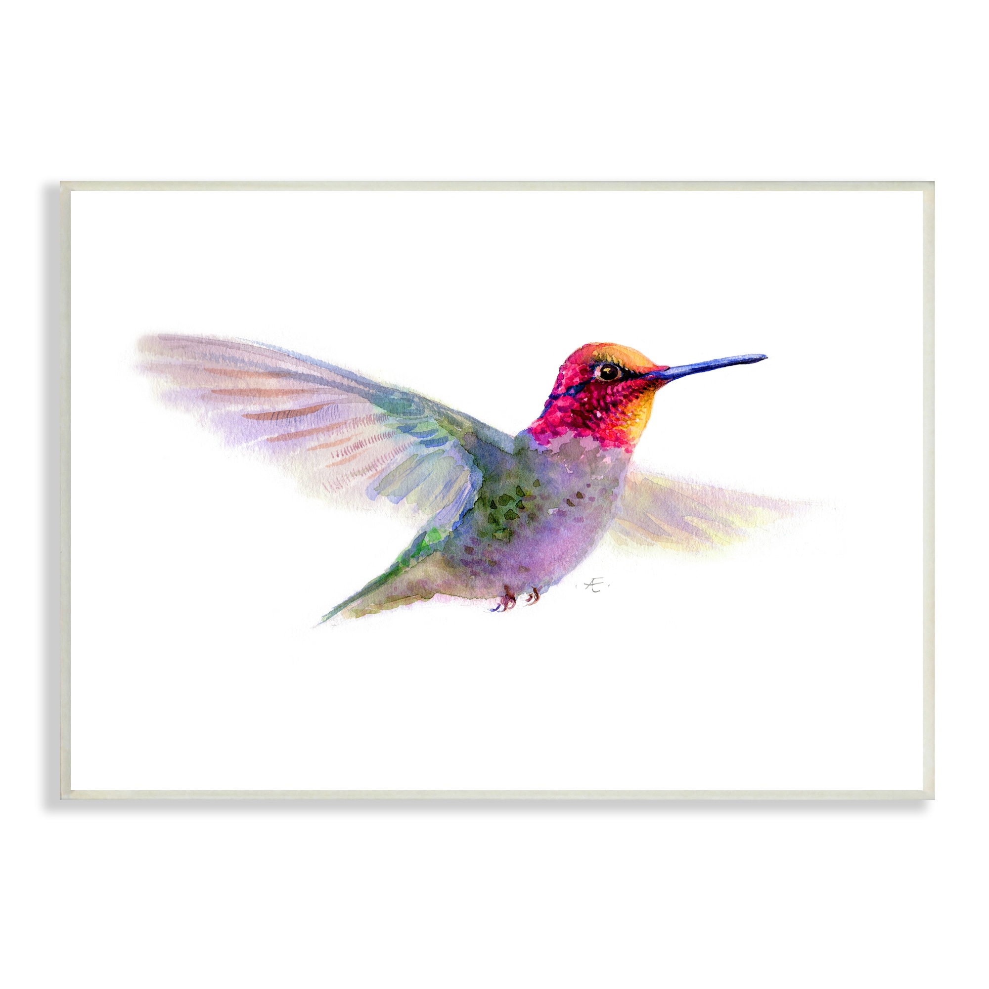 Stupell Industries Hummingbird in Flight Pink Purple Bird