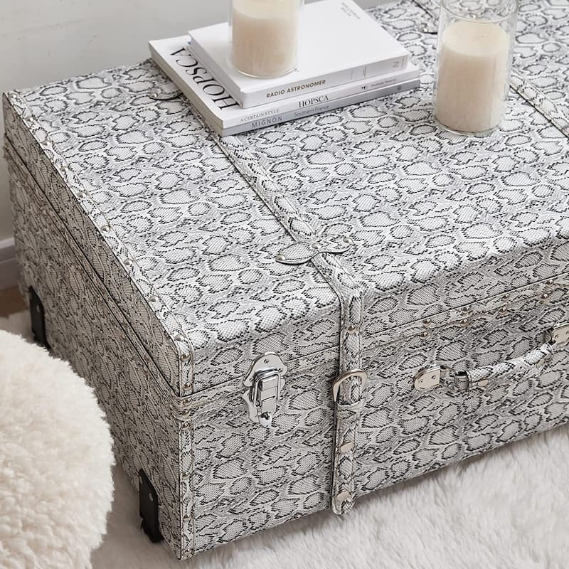 Texture® Brand Trunk - Faux Snakeskin by DormCo - 29"L x 20"W x 14"H