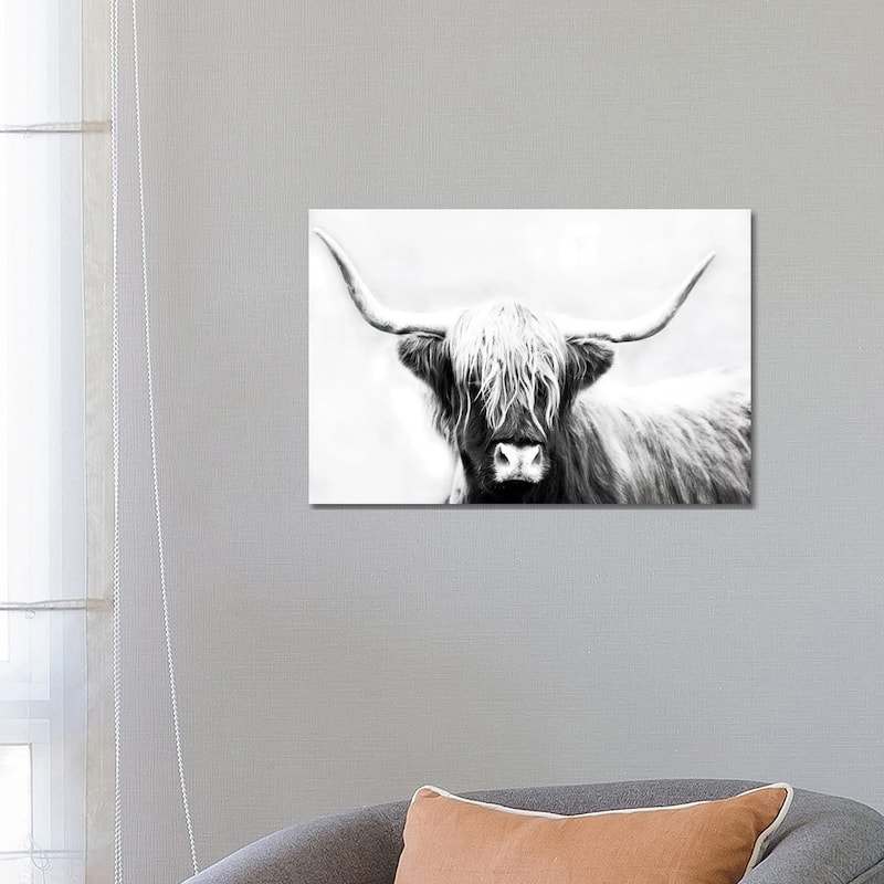 iCanvas "Highland Longhorn" by Danita Delimont Canvas Print - 18x26x1.5