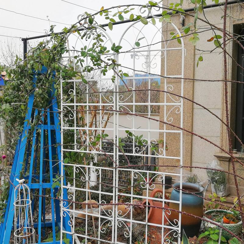2 Pack Metal Garden Rustproof Trellis for Climbing Plants