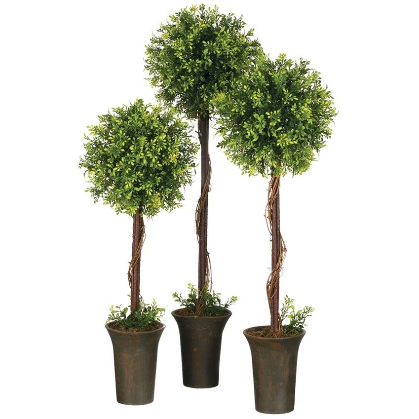 Sullivans Artificial Set of 3 Tealeaf Berry Topiary Tree 22"H, 26"H & 30"H Green