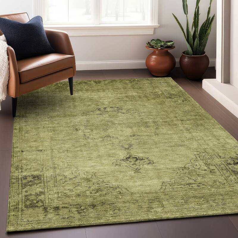 Premium Washable Super Soft Vintage Distressed Mayfield Rug