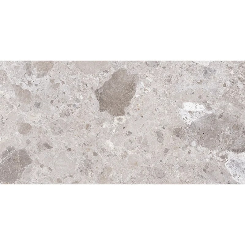 Splendor 24x48 Petra Gray Porcelain Large Format Veining Wall and Floor Tile (15.5 sq ft/case) - 2 Pack