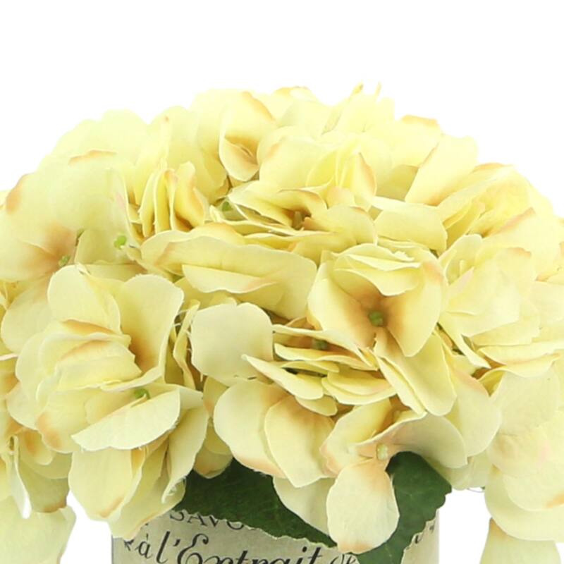 Hydrangea Arrangement in a Glass Vase