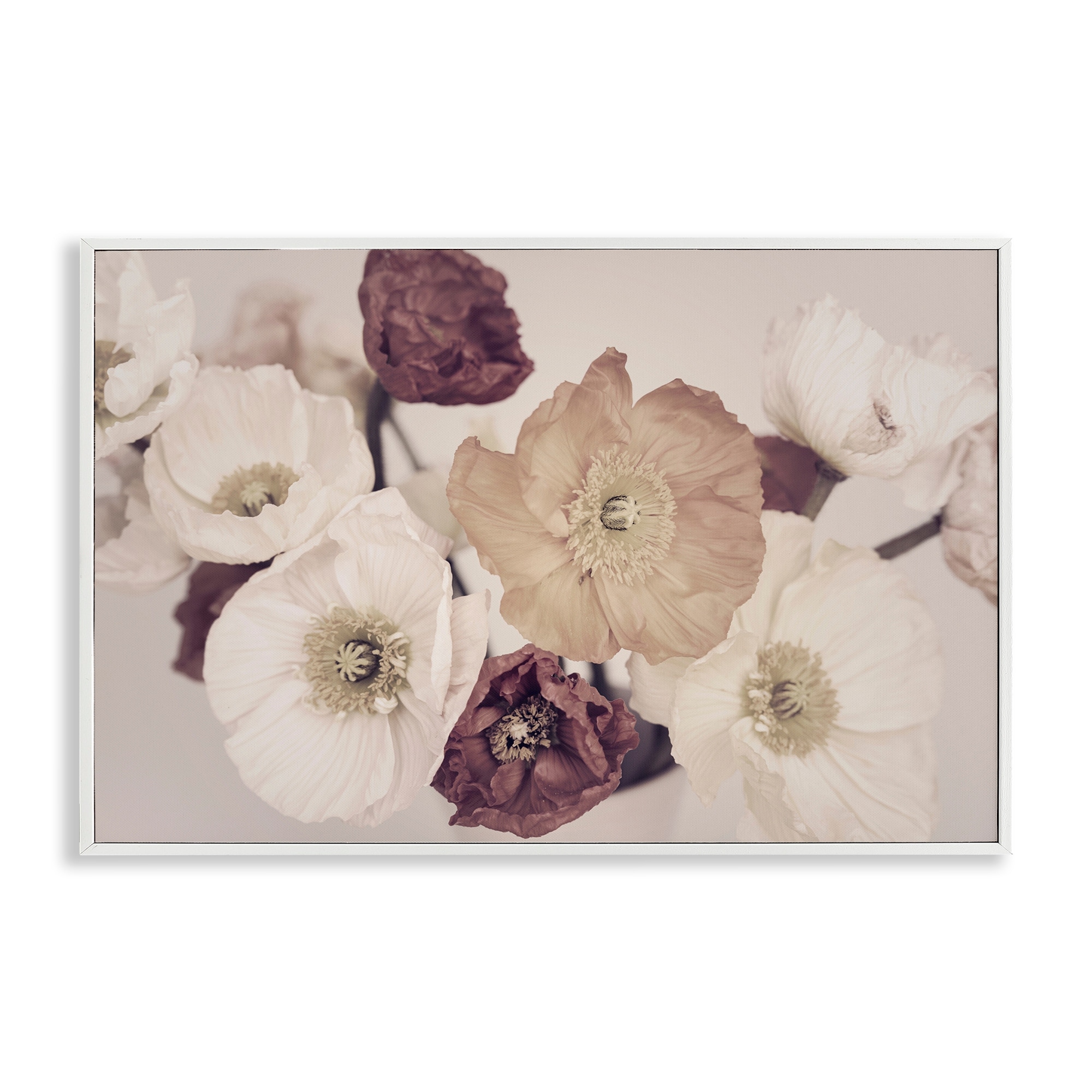 Stupell Open Blooms Maroon Florals Framed Giclee Art Design By Sisi and Seb