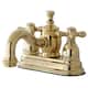 Option Polished Brass