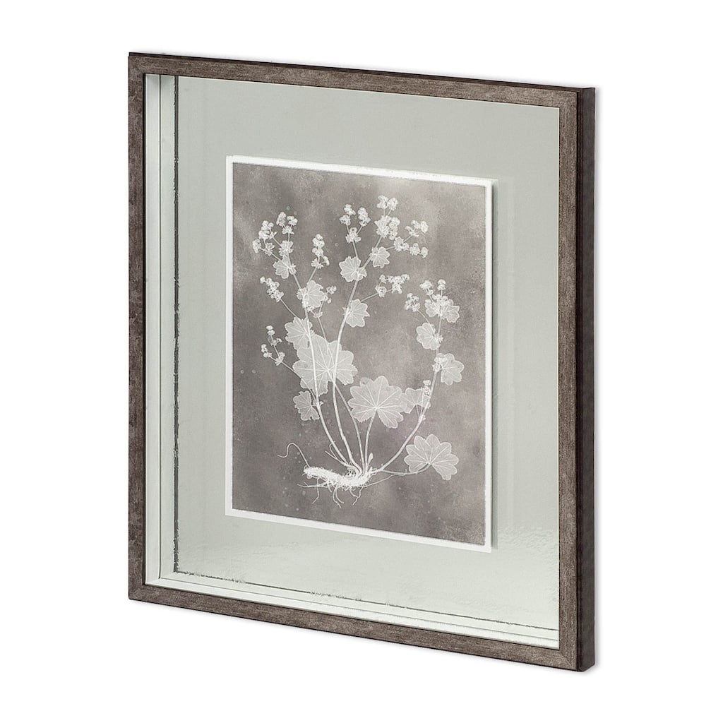 Custom Herbarium Study I Framed Art Print