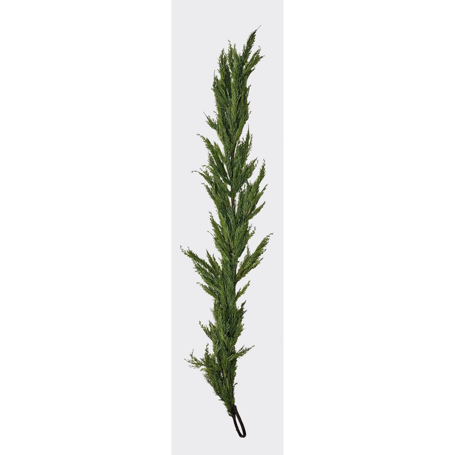 6' Cedar Garland - Multicolor