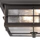 preview thumbnail 7 of 9, Westinghouse Orwell Two-Light Outdoor Flush-Mount Fixture, Seeded Glass
