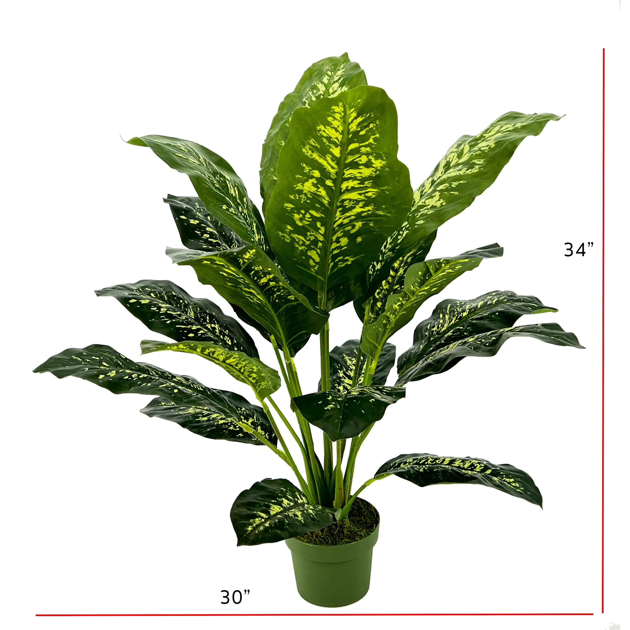 Faux Floor Plant Bed Bath & Beyond 36246273