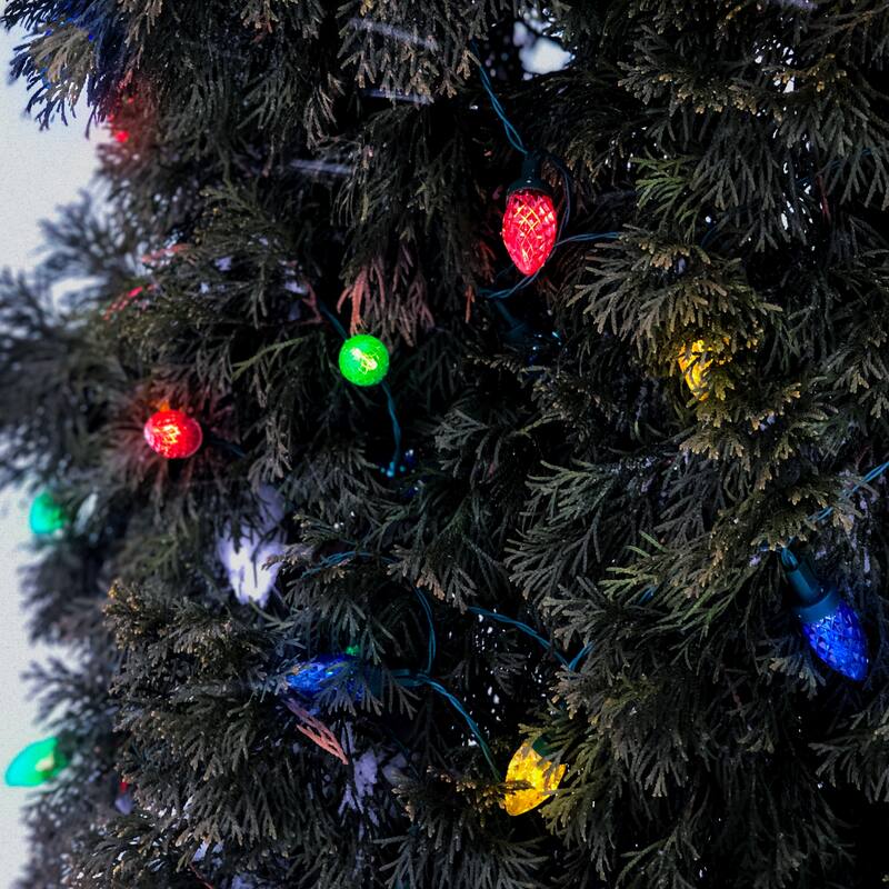 Pacific Accents C7 100 LED Battery Operated String Lights - Multi