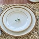 preview thumbnail 13 of 19, Charlotta 5-Piece Place Setting, Service for 1