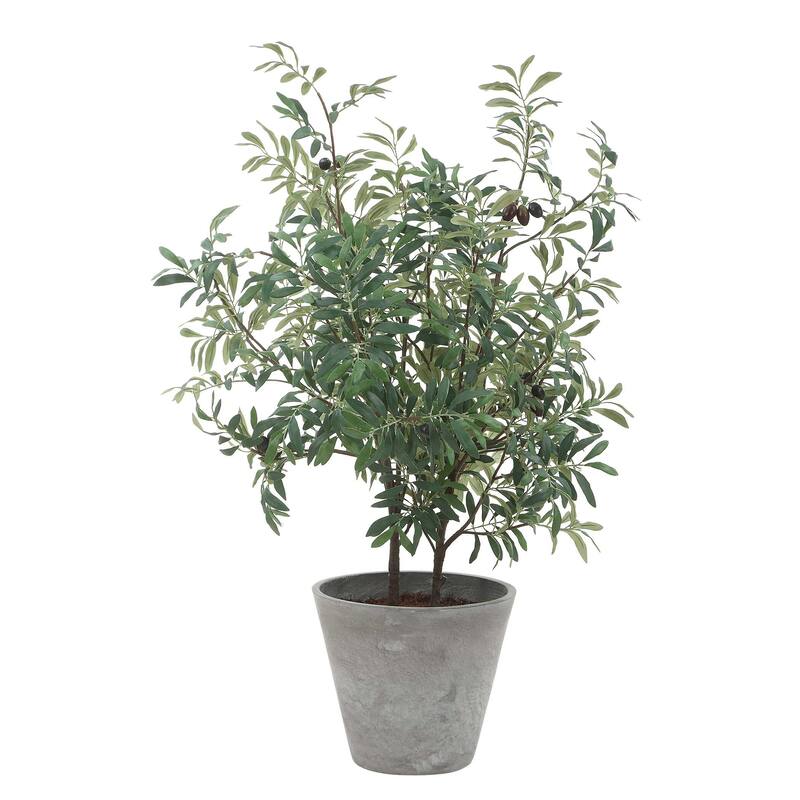 Uttermost Marisol Potted Olive Plant - 28.50" W x 45.25" H x 26.50" D