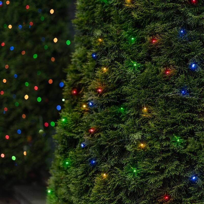 Holiday LITEUP 125 Solar Powered LED Christmas String Light - Multi-Colored (1,2 or 4 Pack)