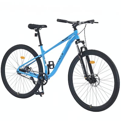 29 Inch Wheels Single Speed Mountain Bike, Front Suspension