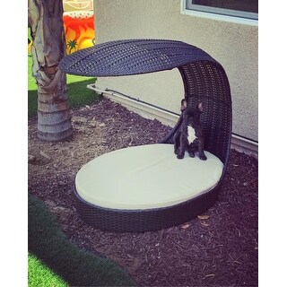 The Refined Canine Outdoor Dog Chaise Lounger