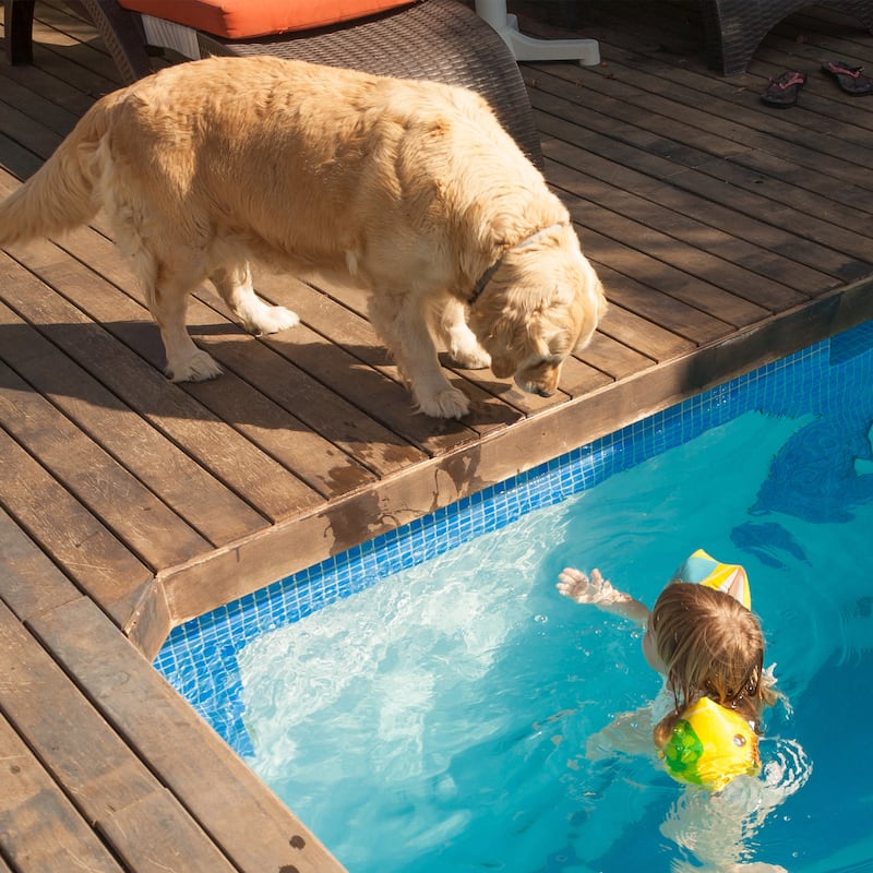 PETMAKER Waterproof Memory Foam Indoor/Outdoor Pet Bed