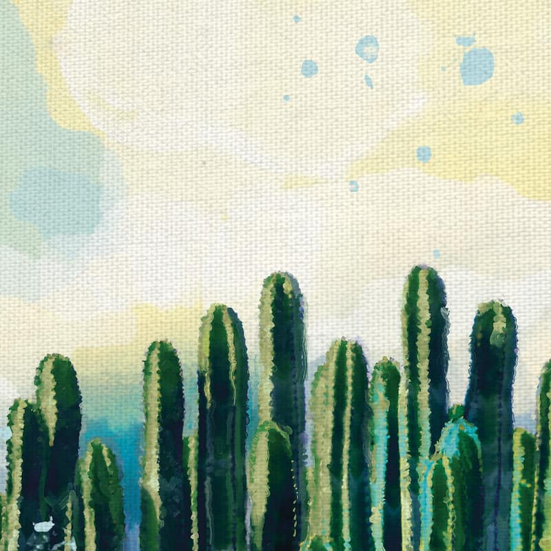 Desert Colors by Studio Arts Canvas Art Print
