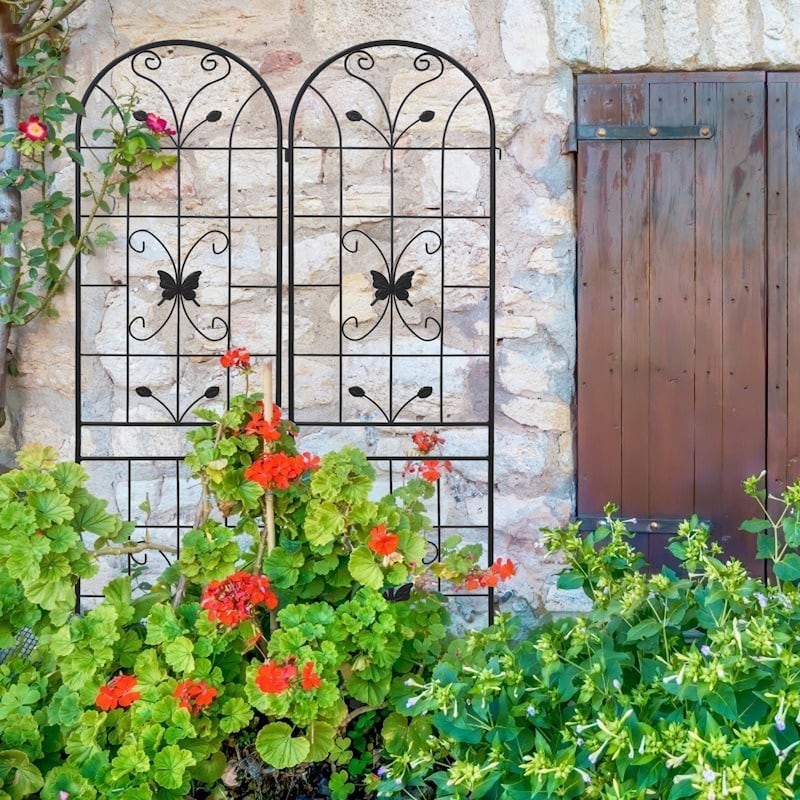 2 Pack Metal Garden Trellis 86.7" x 19.7" Rustproof Trellis for Climbing Plants Outdoor Flower Support Cream