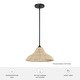 preview thumbnail 4 of 3, Hunter Agoura Boho Rattan Pendant - Kitchen, Bedroom, Living Room, Dining Room, Entry - Transitional, Coastal