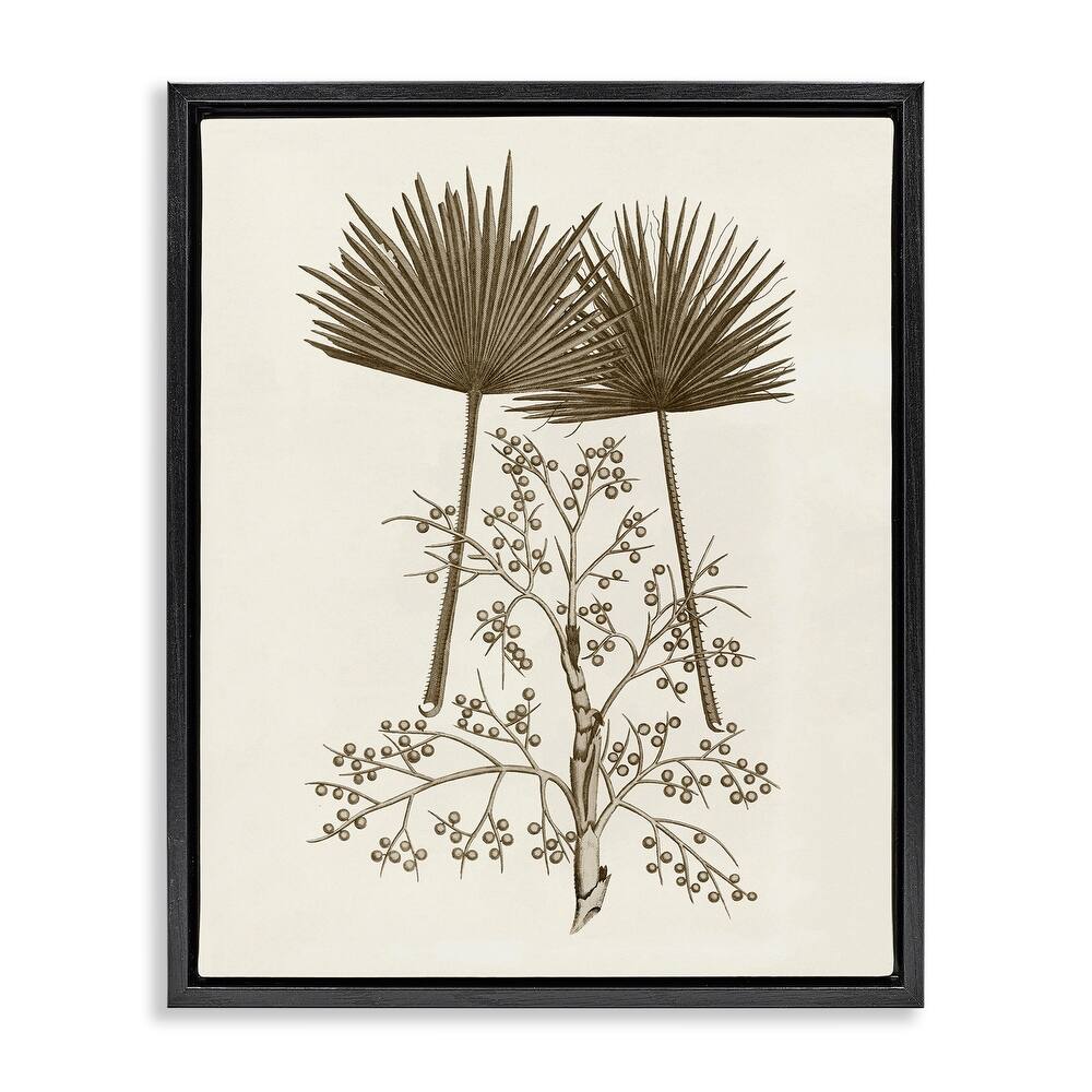 Stupell Palm Leaf & Olive Branches Framed Floater Canvas Wall Art Design By Phillipa Katz