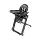 preview thumbnail 14 of 16, Peg Perego Siesta, Grow with baby folding high chair & Recliner