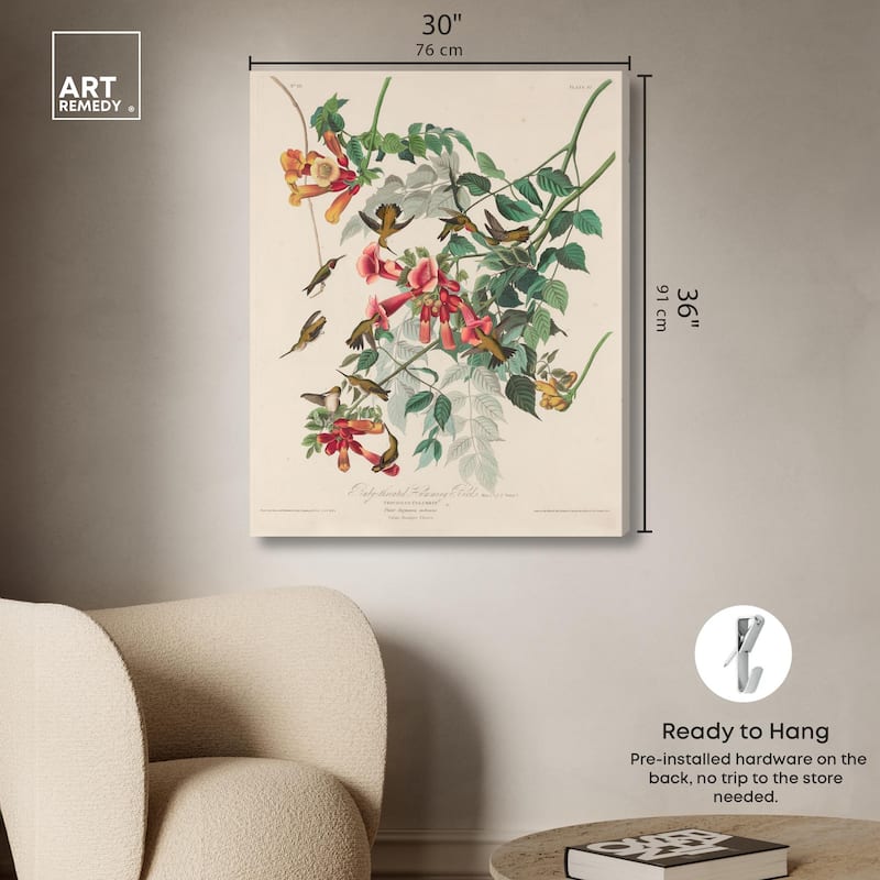 Trochilus Colubris Canvas by Art Remedy, Gallery Wrapped