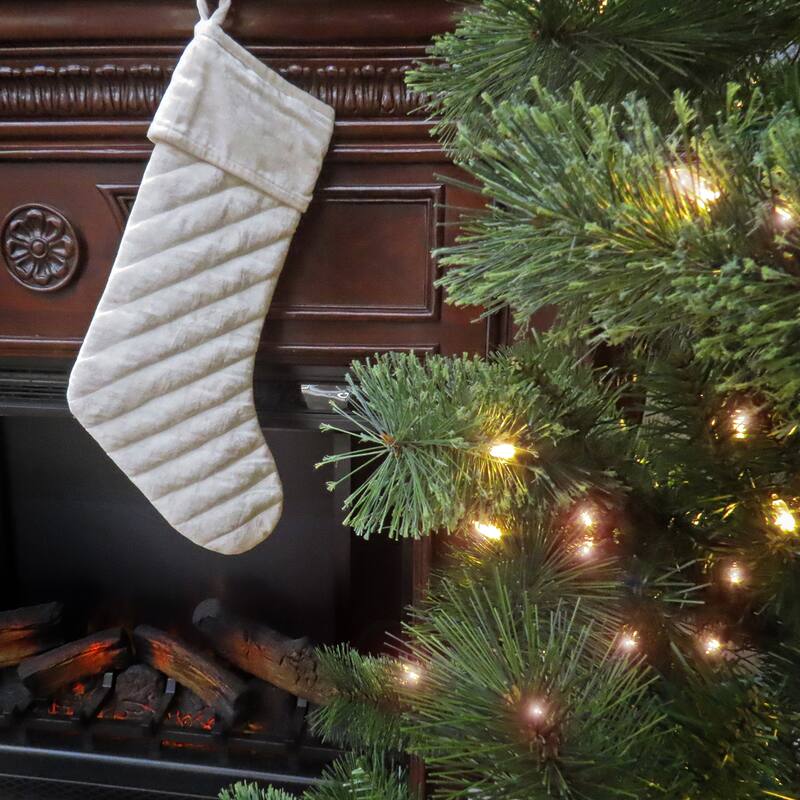 National Tree Company 19 in. HGTV Home Collection Quilted Velvet Stocking, Ivory - 10in