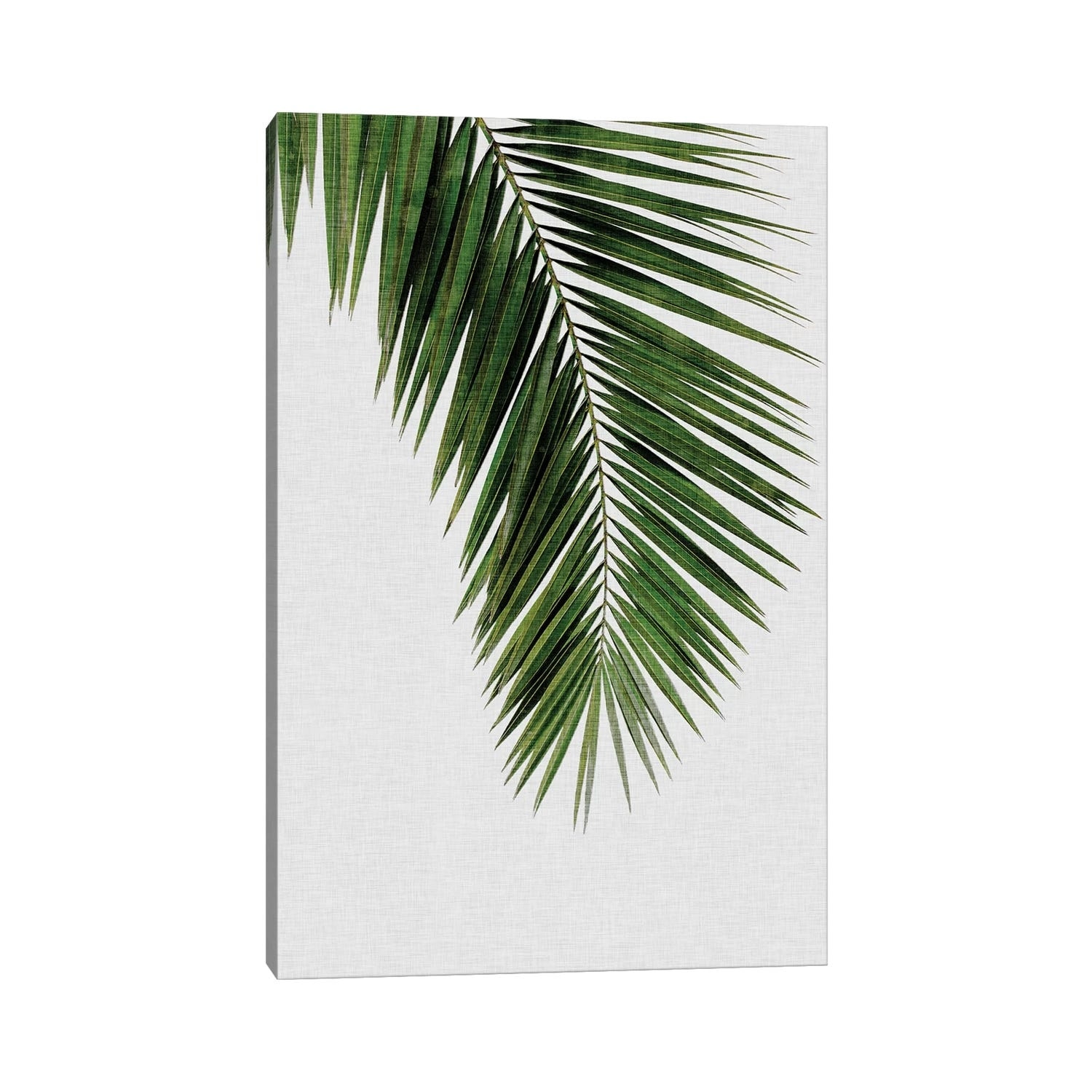 iCanvas "Palm Leaf I" by Orara Studio Canvas Print