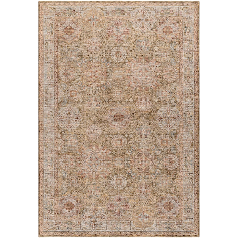 Aiyla Traditional Medallion Area Rug