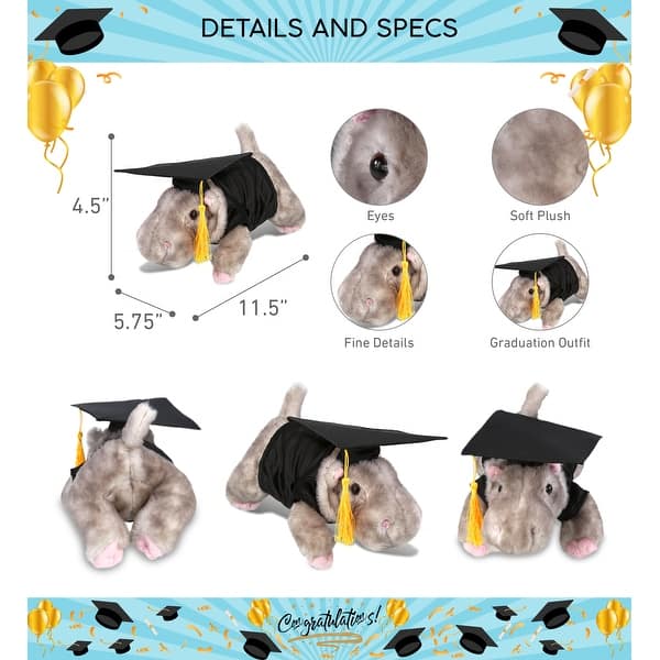 DolliBu Hippo Graduation Plush Toy with Gown and Cap with Tassel - 11 ...