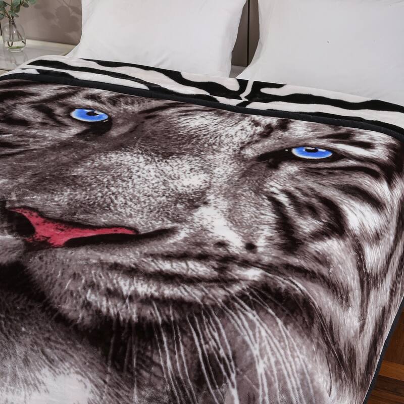 Raschel A&B Printed 2-ply Reversible Korean-style Plush Fleece Blanket