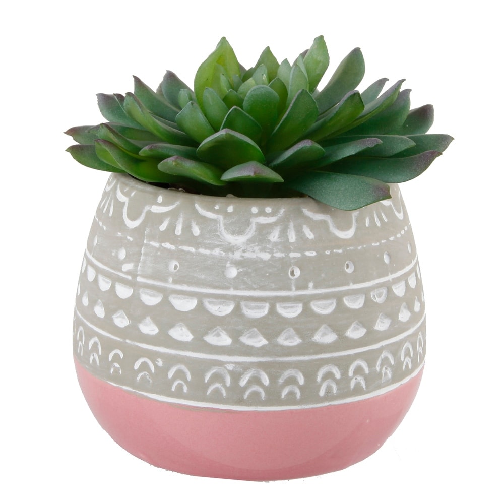 Succulent in 2 TONE Mayan CERAMIC POT,Pink - ONE-SIZE